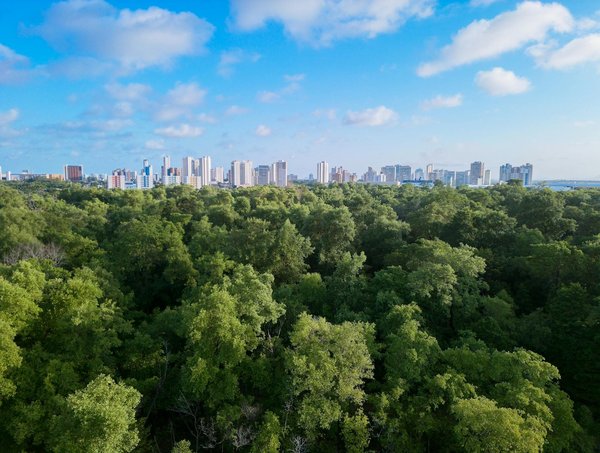 Les tendances geek incontournables pour rester à la page